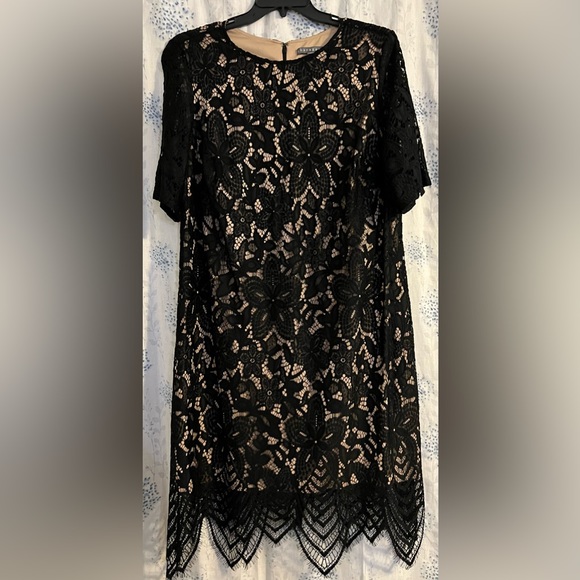 Sharagano Dresses & Skirts - NWOT Women’s Black Dress 014